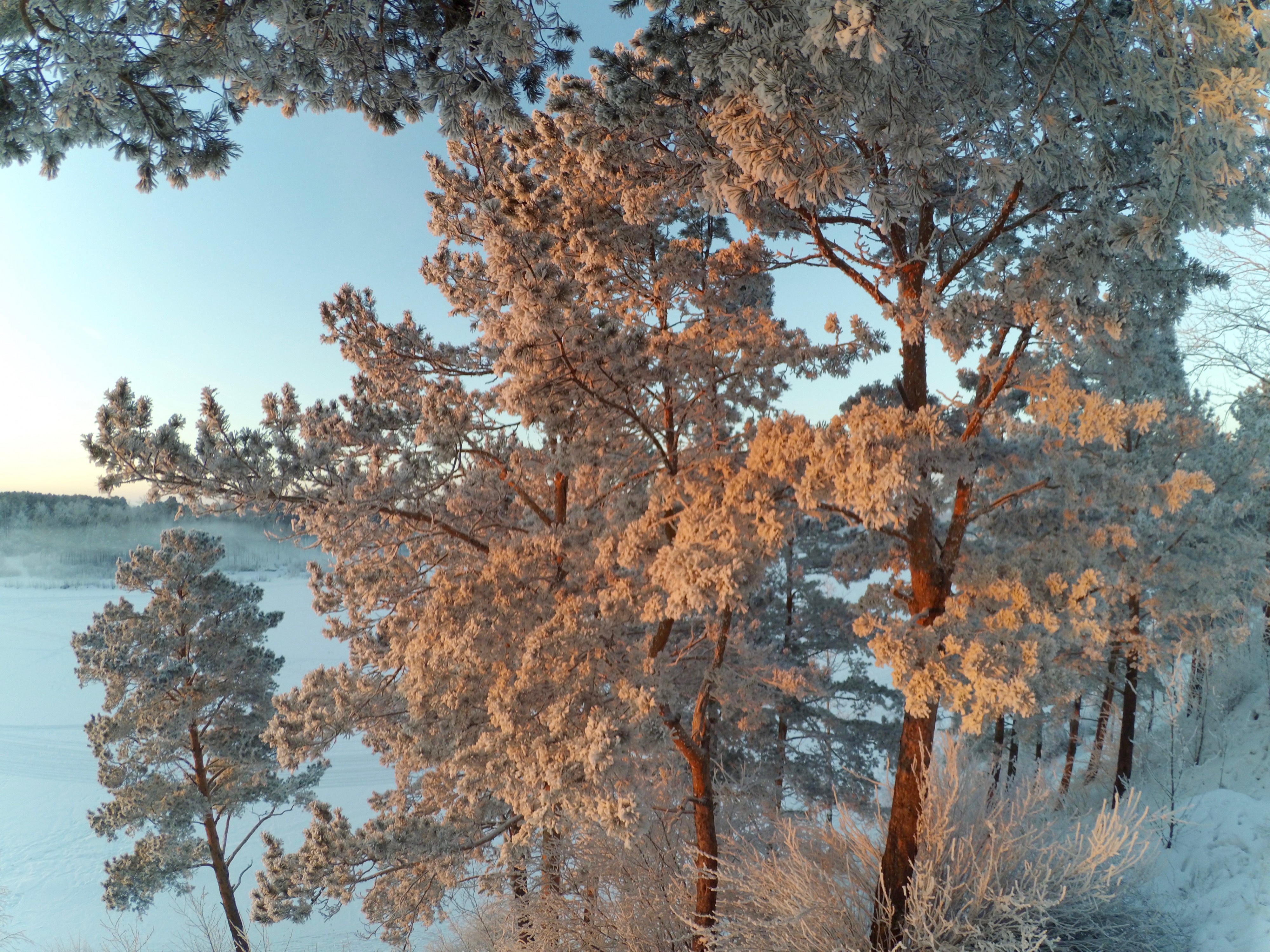 В лучах заката