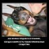 Предаться унынию