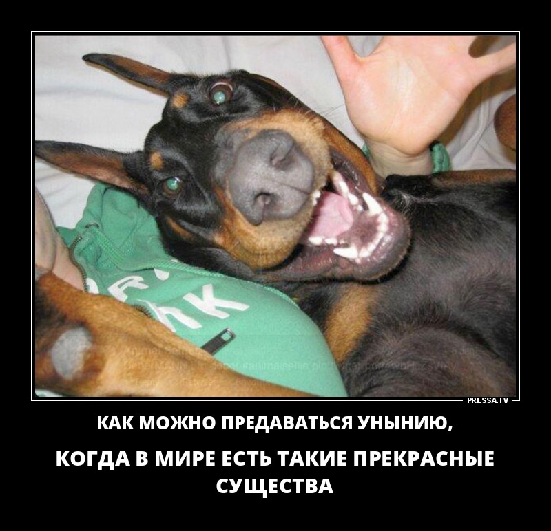 Предаться унынию