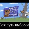 Суть выборов Суть выборов