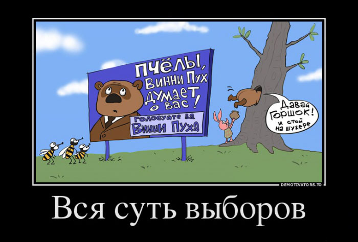 Суть выборов