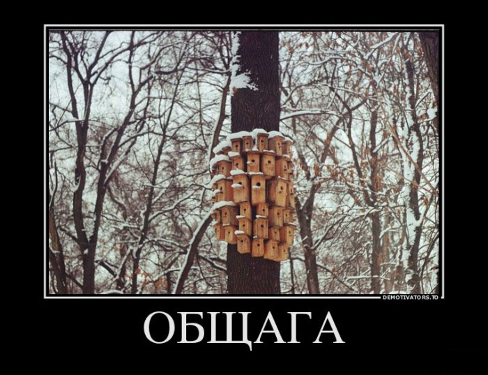 Общага