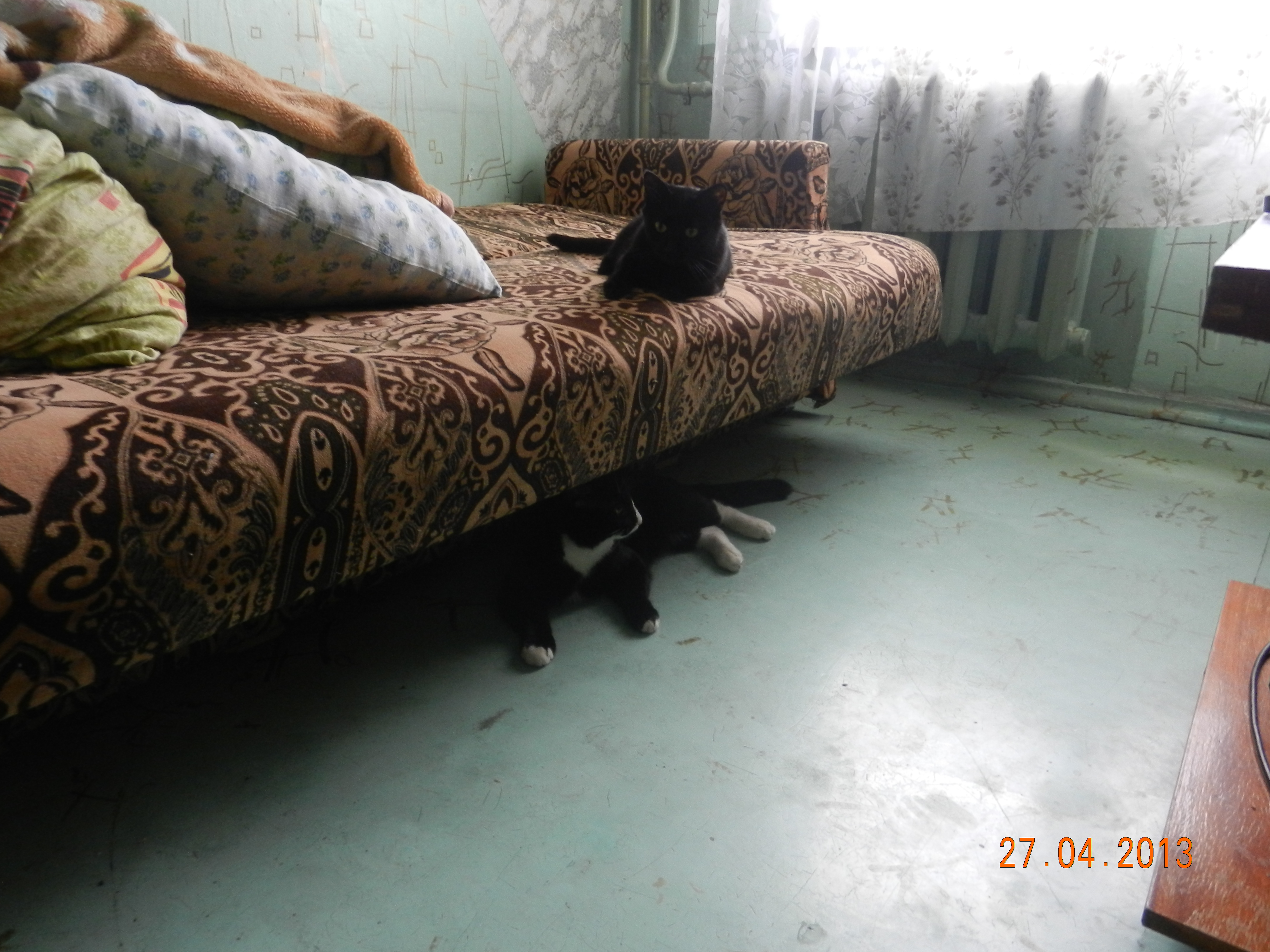 Тайсон и Алиска