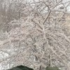 А за окном, понимаешь весна за окном…