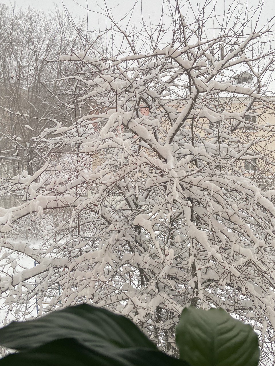 А за окном, понимаешь весна за окном…