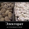 Электорат