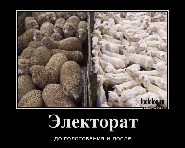 Электорат