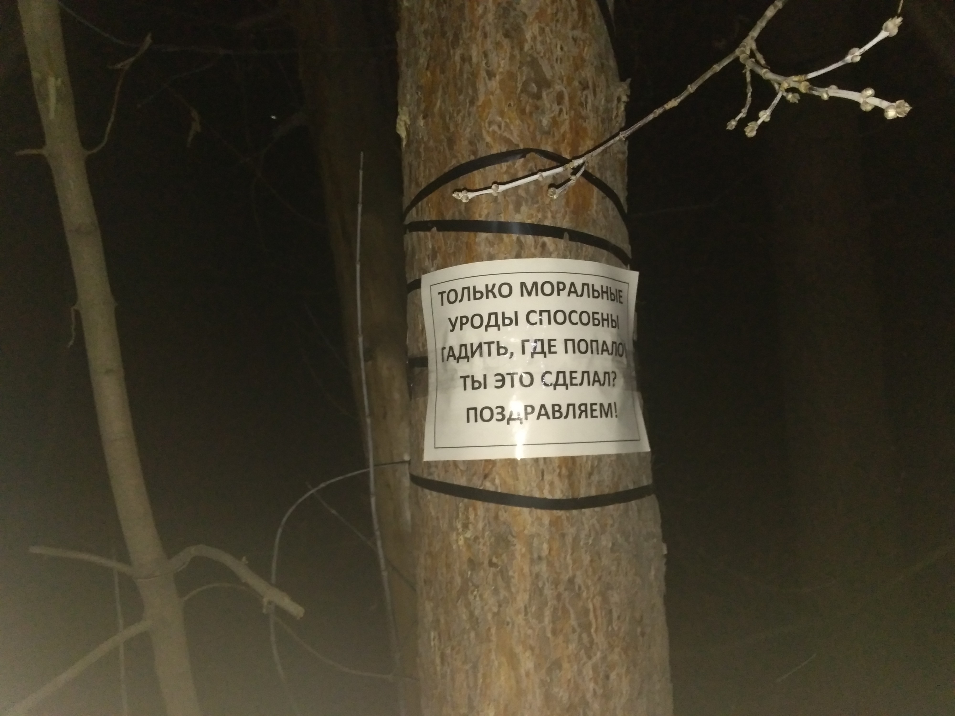 ты это сделал? поздравляем!