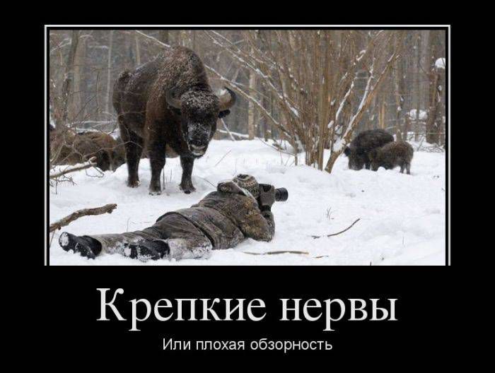 Крепкие нервы