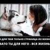 Страница из жизни Страница из жизни