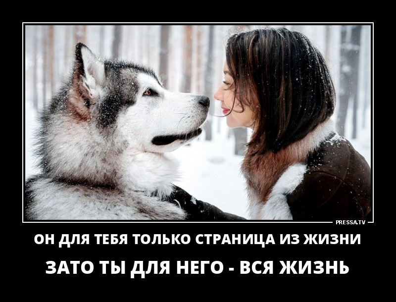 Страница из жизни