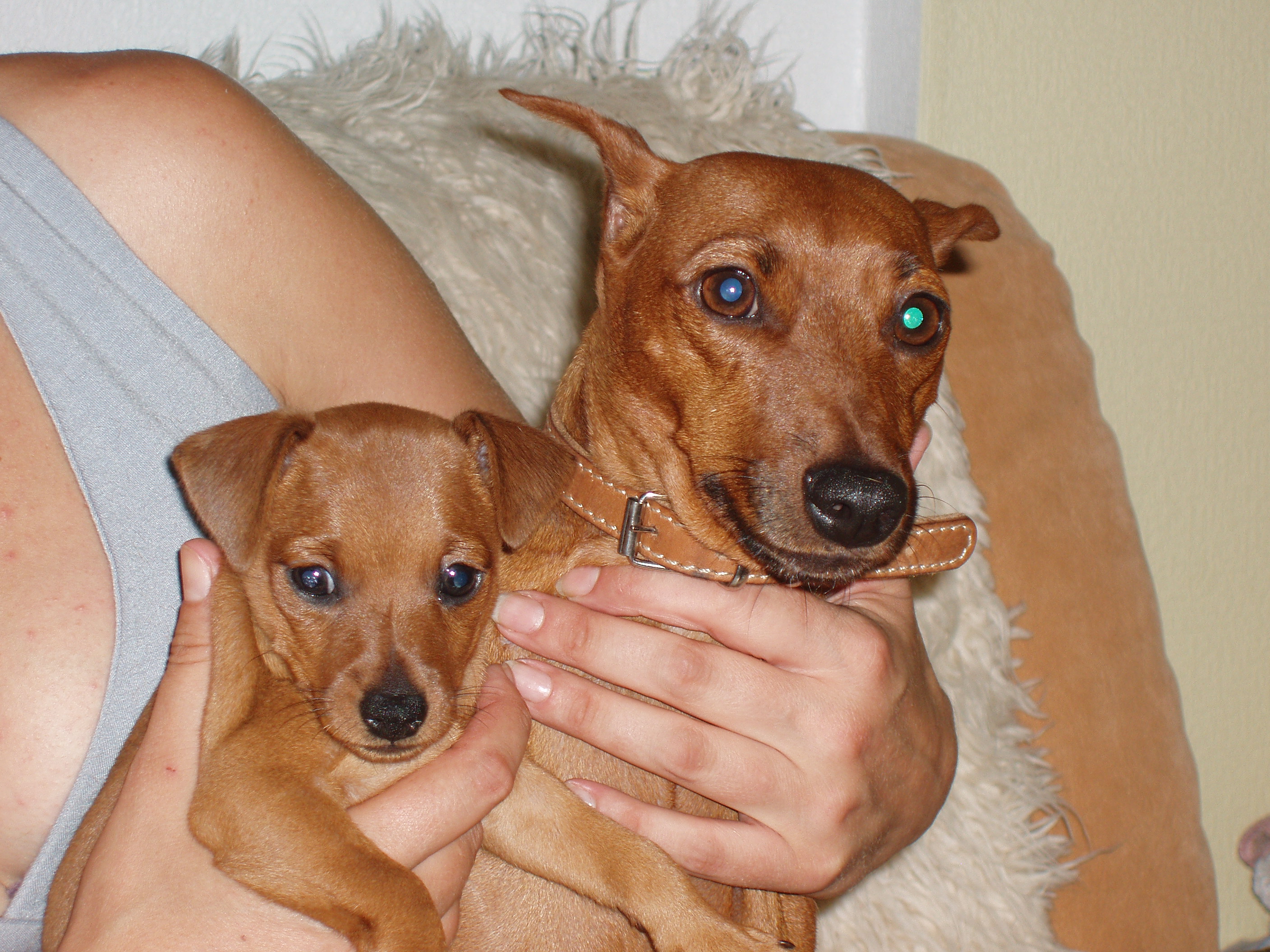 С щеником ))