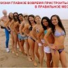 Главное пристроиться