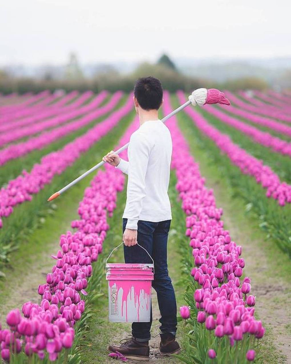 41f6e0c6ddb7e2eaf4f51e3f617