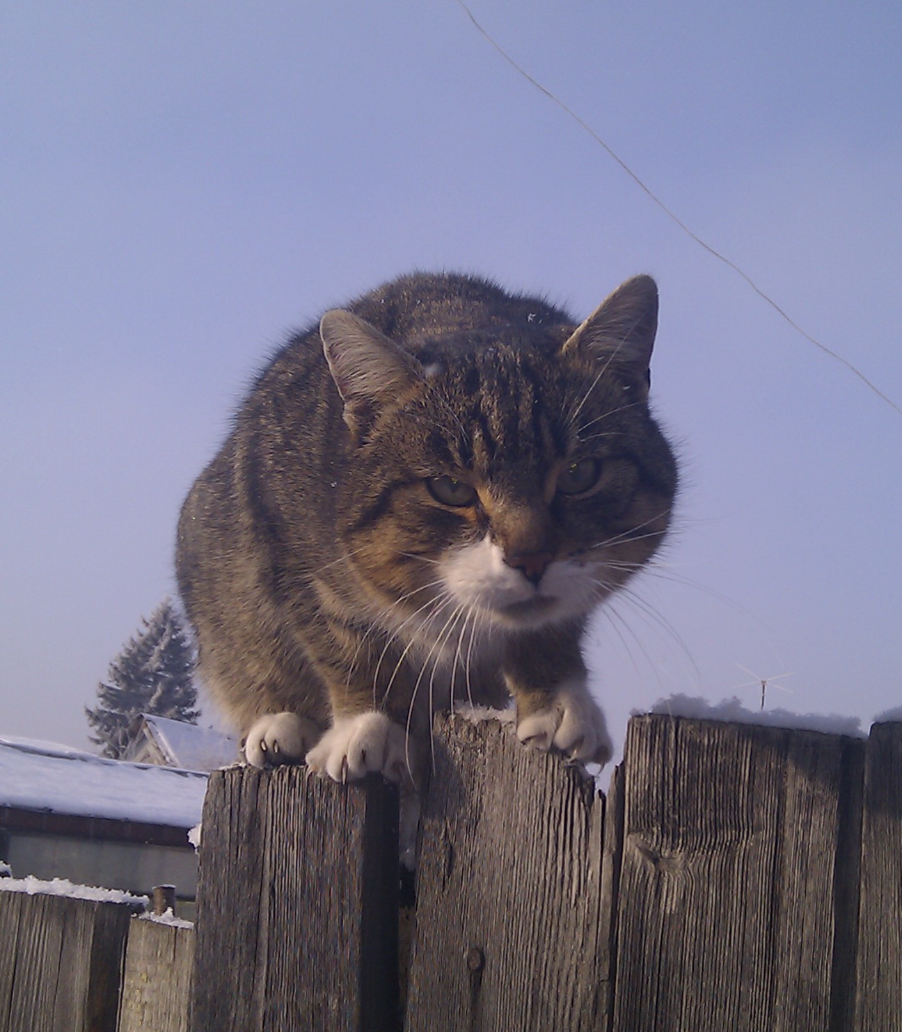 Ну чо? Есть чо?