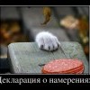 Декларация о намерениях Декларация о намерениях