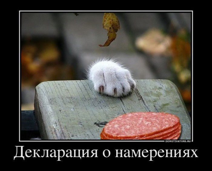 Декларация о намерениях