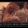 Если тебе плохо... Если тебе плохо...
