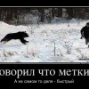 Меткий Меткий