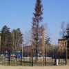 Пихта сохла, пихта чахла, пихта сдохла... Пихта сохла, пихта чахла, пихта сдохла...