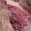 Шубейкины страсти.Для любительниц натуральных шуб.