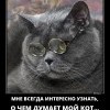 Хочется узнать Хочется узнать