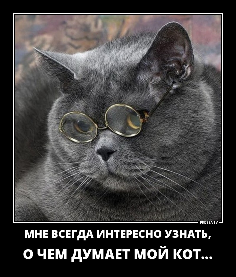 Хочется узнать