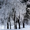 На улице в Старый Новый Год