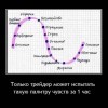 Палитра чувств Палитра чувств
