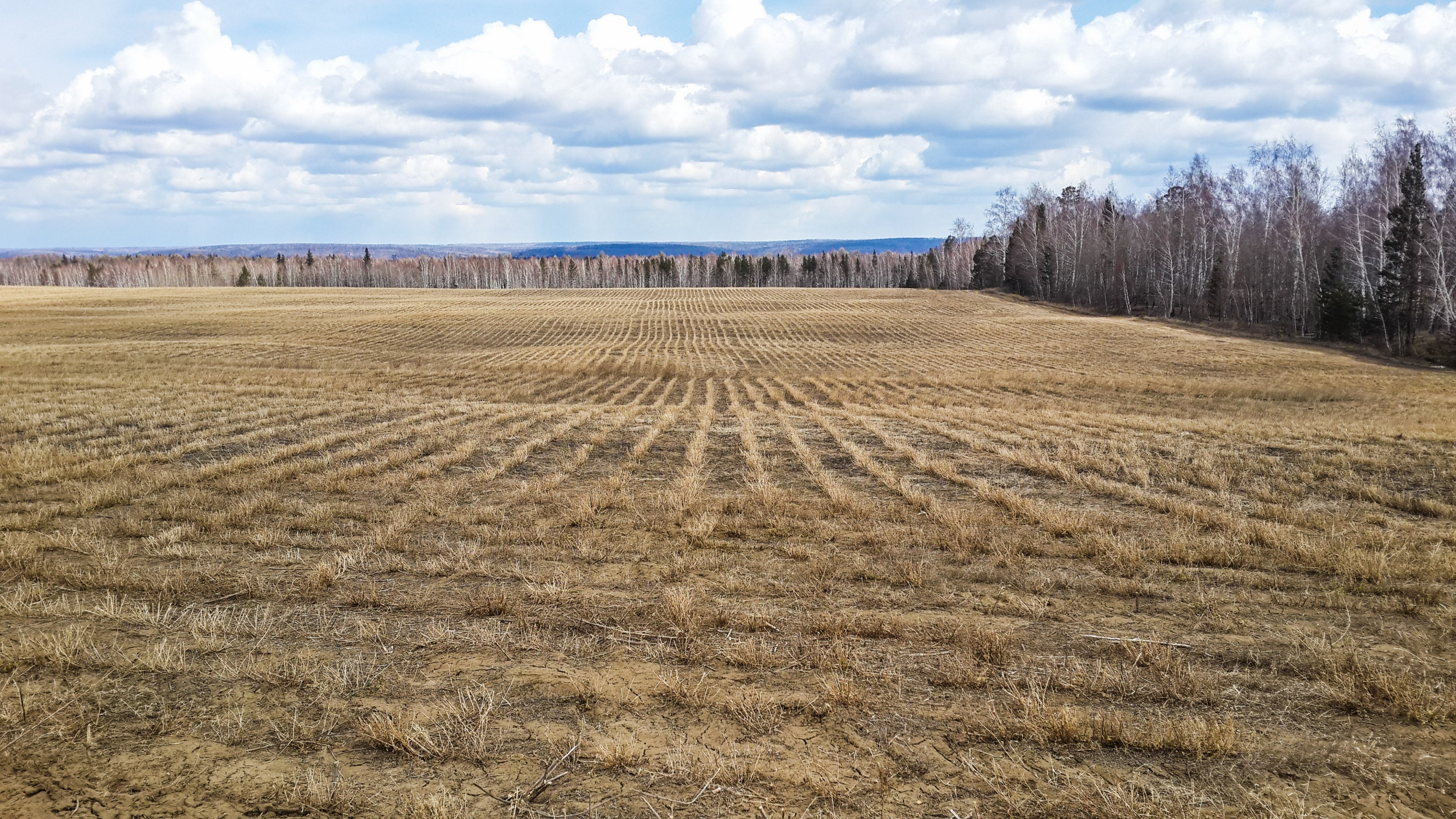 Причесанные поля
