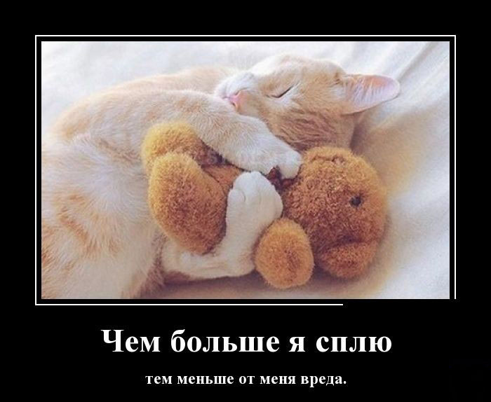 Чем больше сплю...