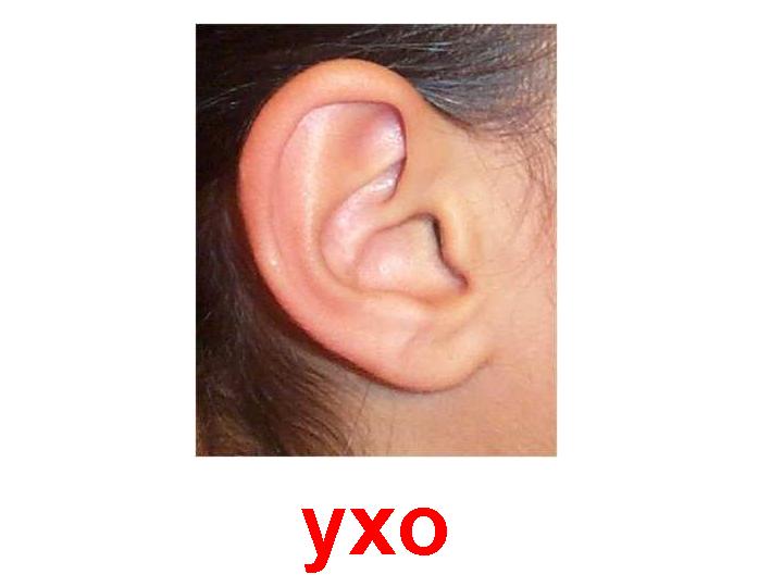 Подарок от террориста  Деда Мороза для Эль)))