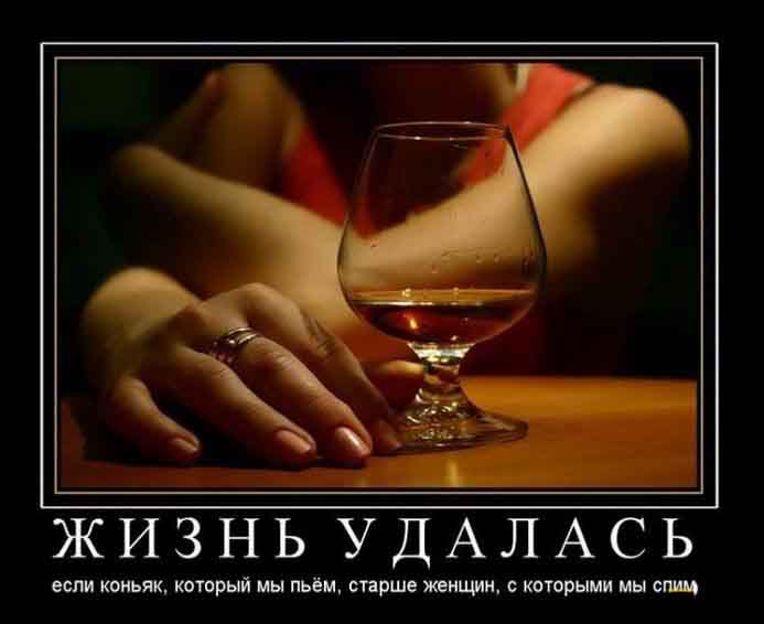 Жизнь удалась
