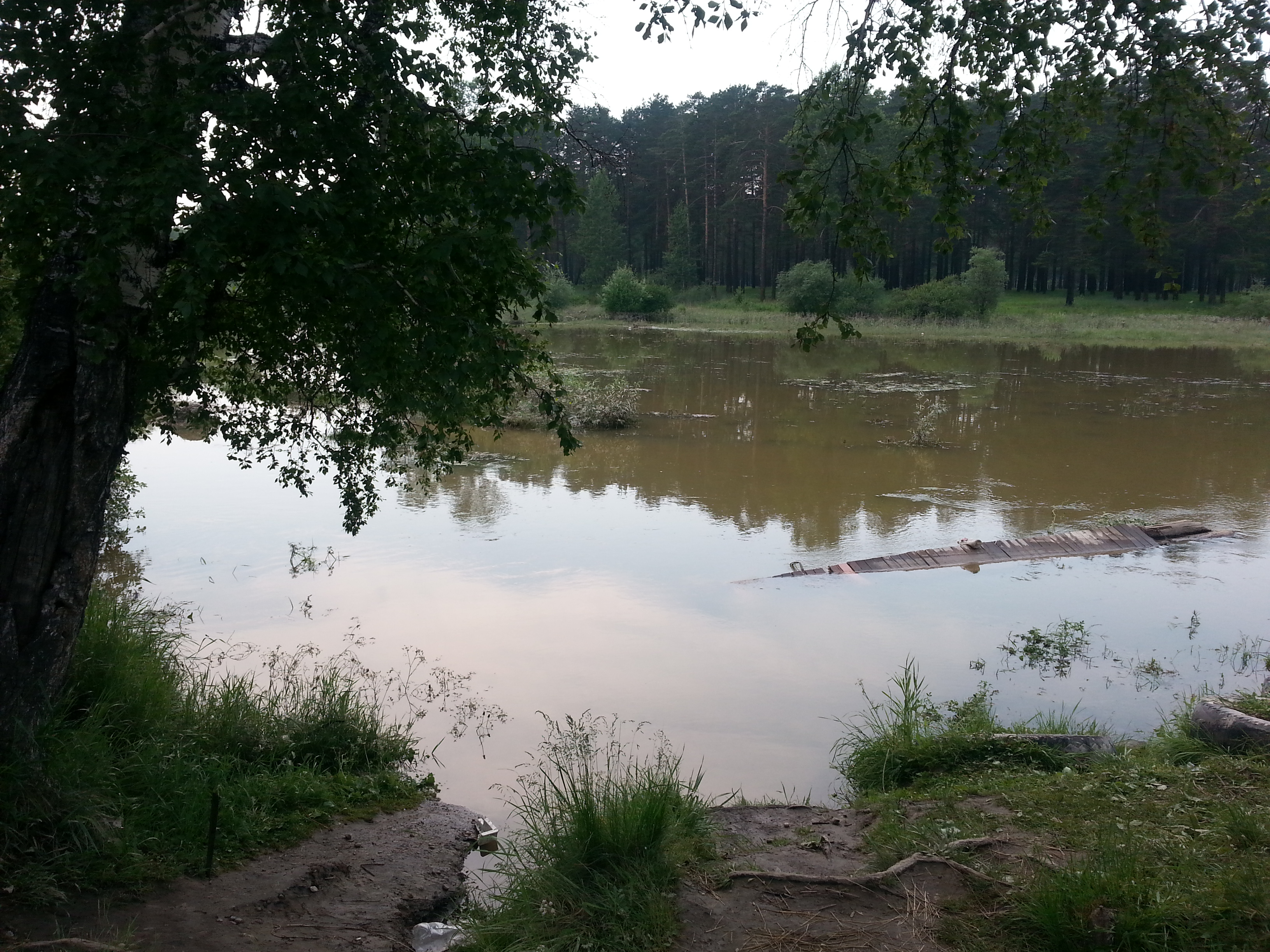 в районе водокачки Расцвета ...