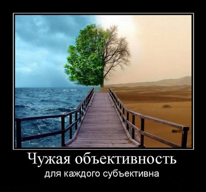 Чужая объективность