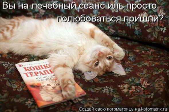 5ad23c2375cb14265b69de969d6 prev