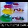 Питиё