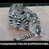 После корпоратива