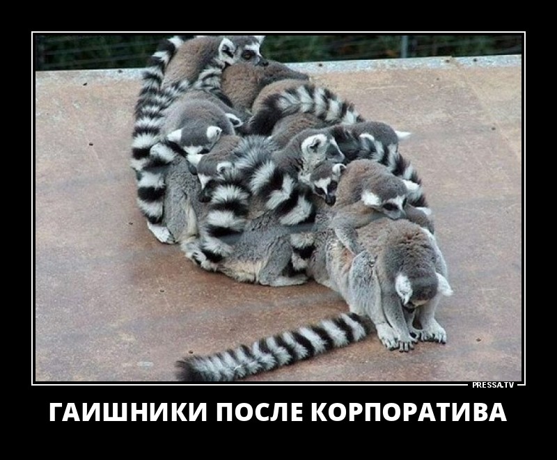 После корпоратива