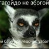 Узбагойся)))))) Узбагойся))))))
