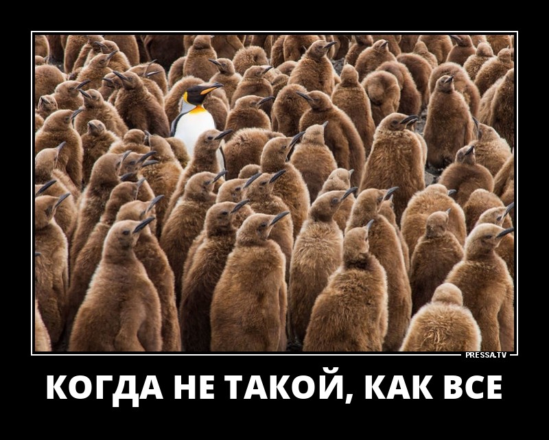 Когда, не такой как все