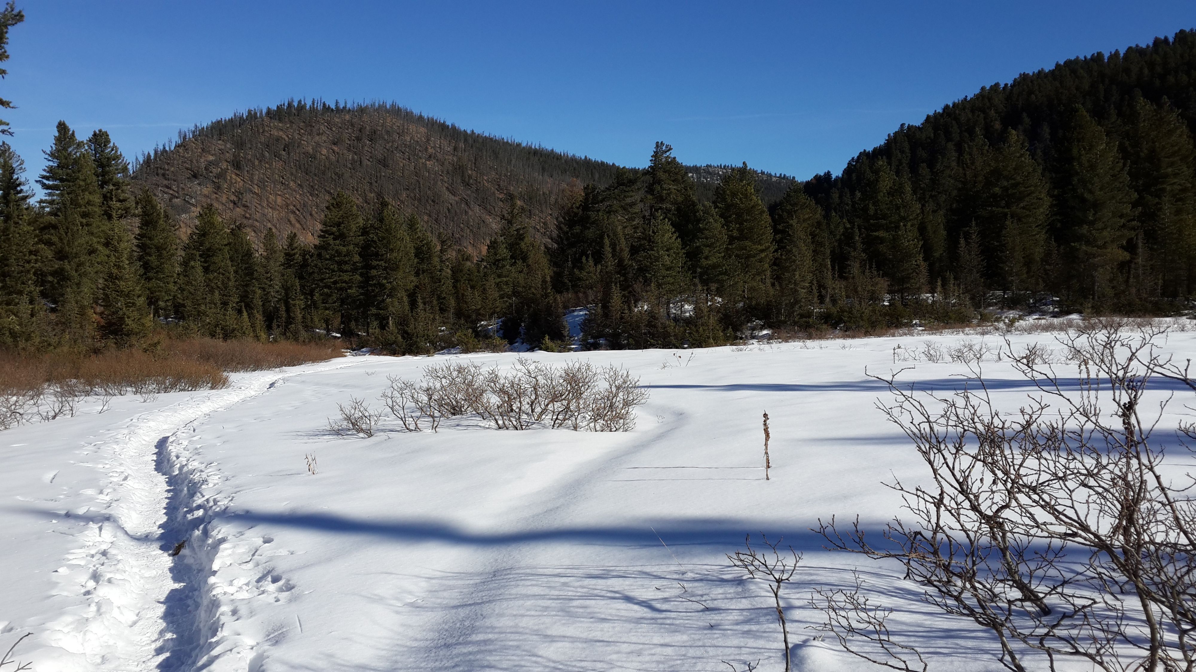 блуждающая тропинка