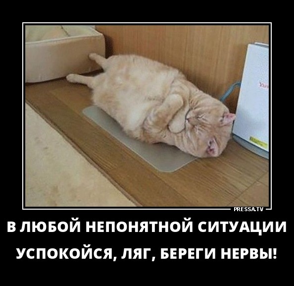 Поведение в непонятках