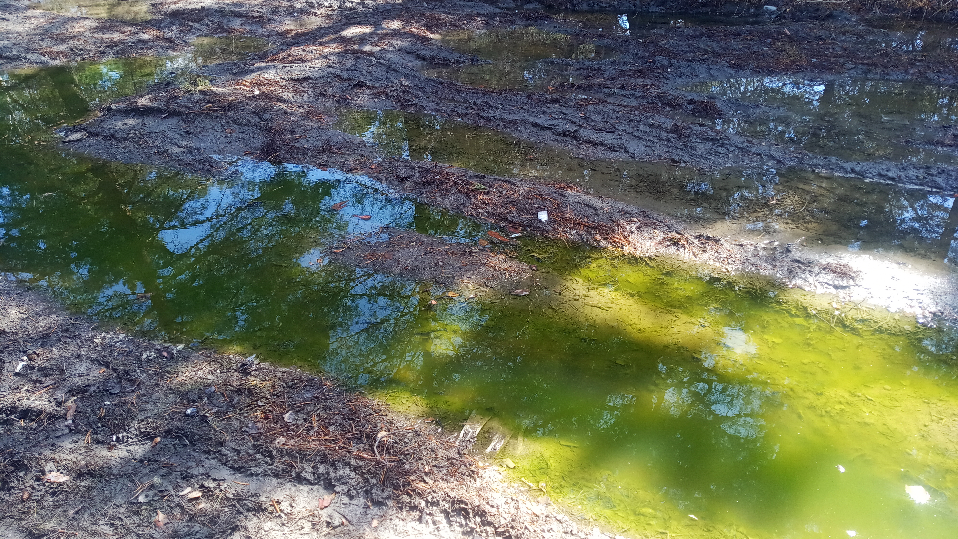 52.49693124819557, 103.80237211807034