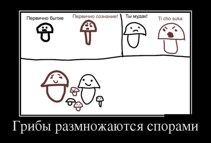 Грибы