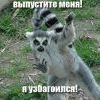 Узбагойся)))))) Узбагойся))))))