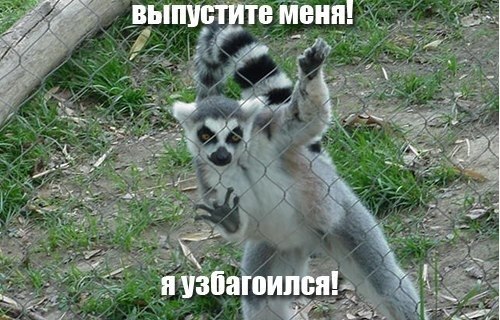 Узбагойся))))))