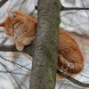 зимний сон4 зимний сон4