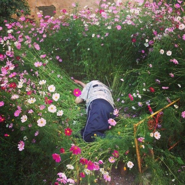 Без названия