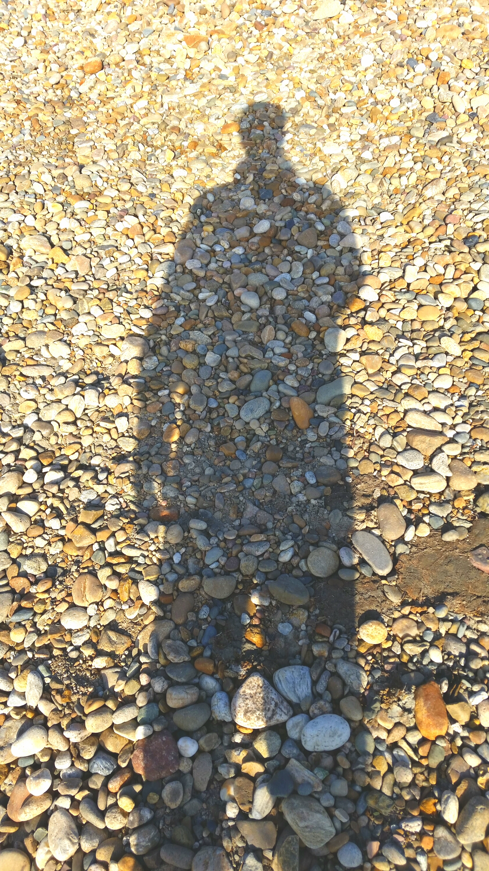 сирёгина сложнокаменная тень китойская))))))